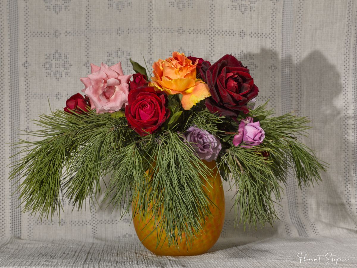 Bouquet de roses du jardin pour Noël, Florent Stepin, Algarve, Portugal.