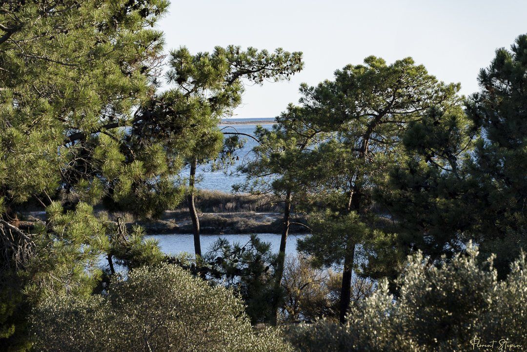 parc naturel de la ria Formosa dOlhão Portugal