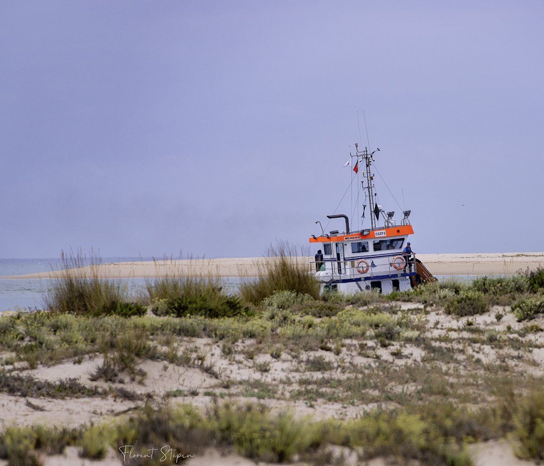 Au détour d'une dune de l'île d'Armona, ria Formosa, Portugal