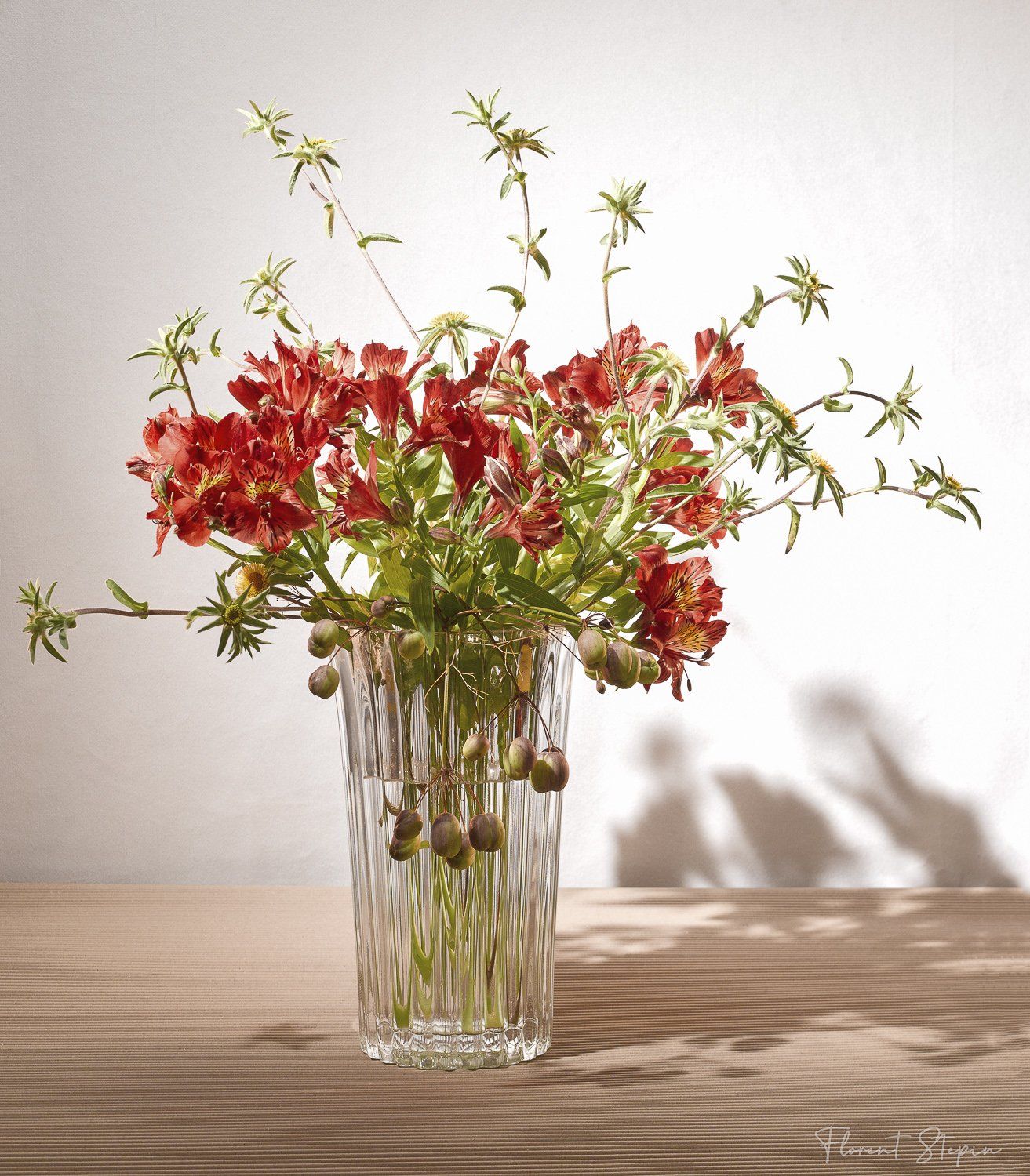 composition florale Aérien, Florent Stepin, Algarve, Portugal.