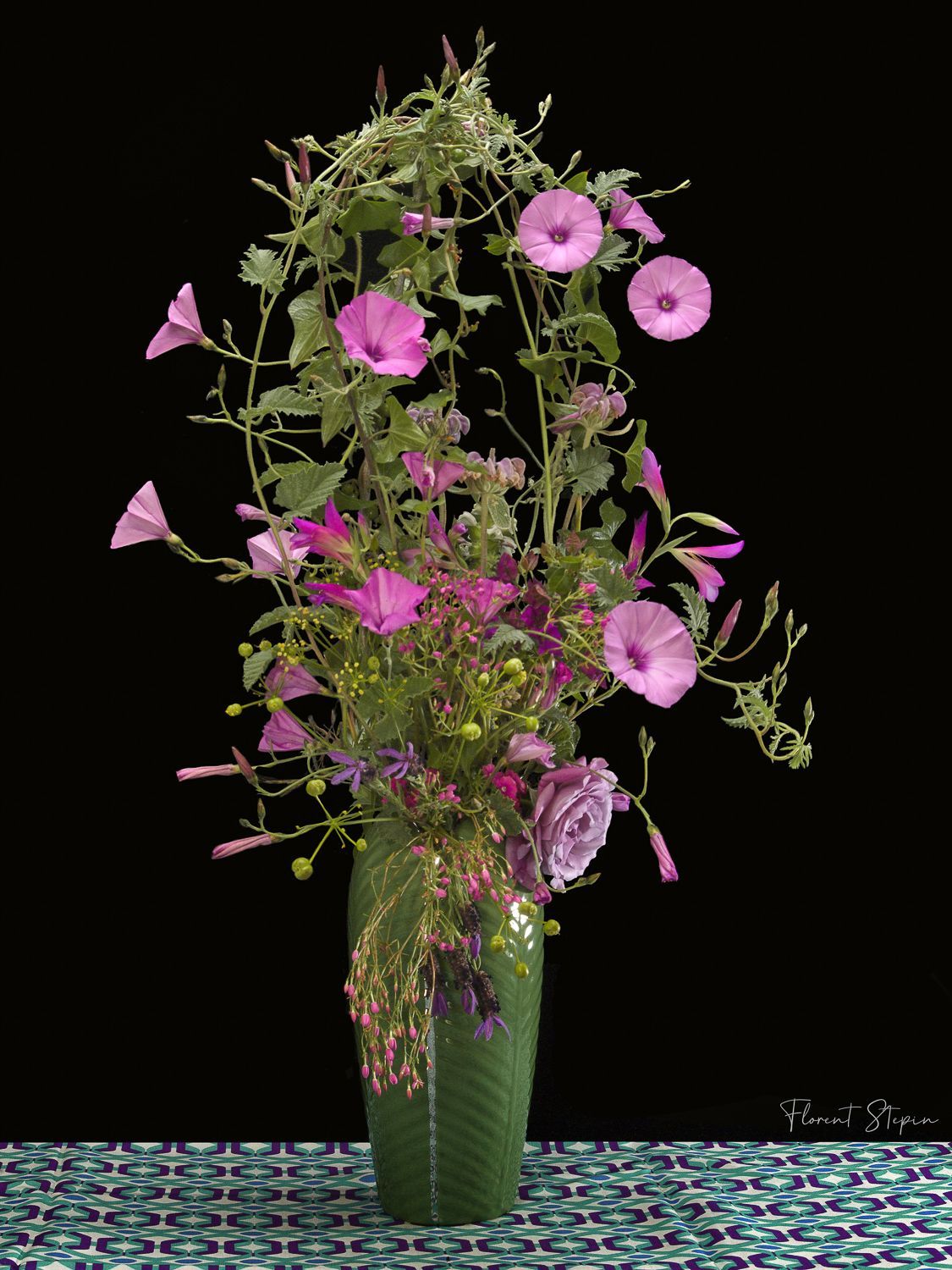 Bouquet liseron, Florent Stepin, Algarve, Portugal.
