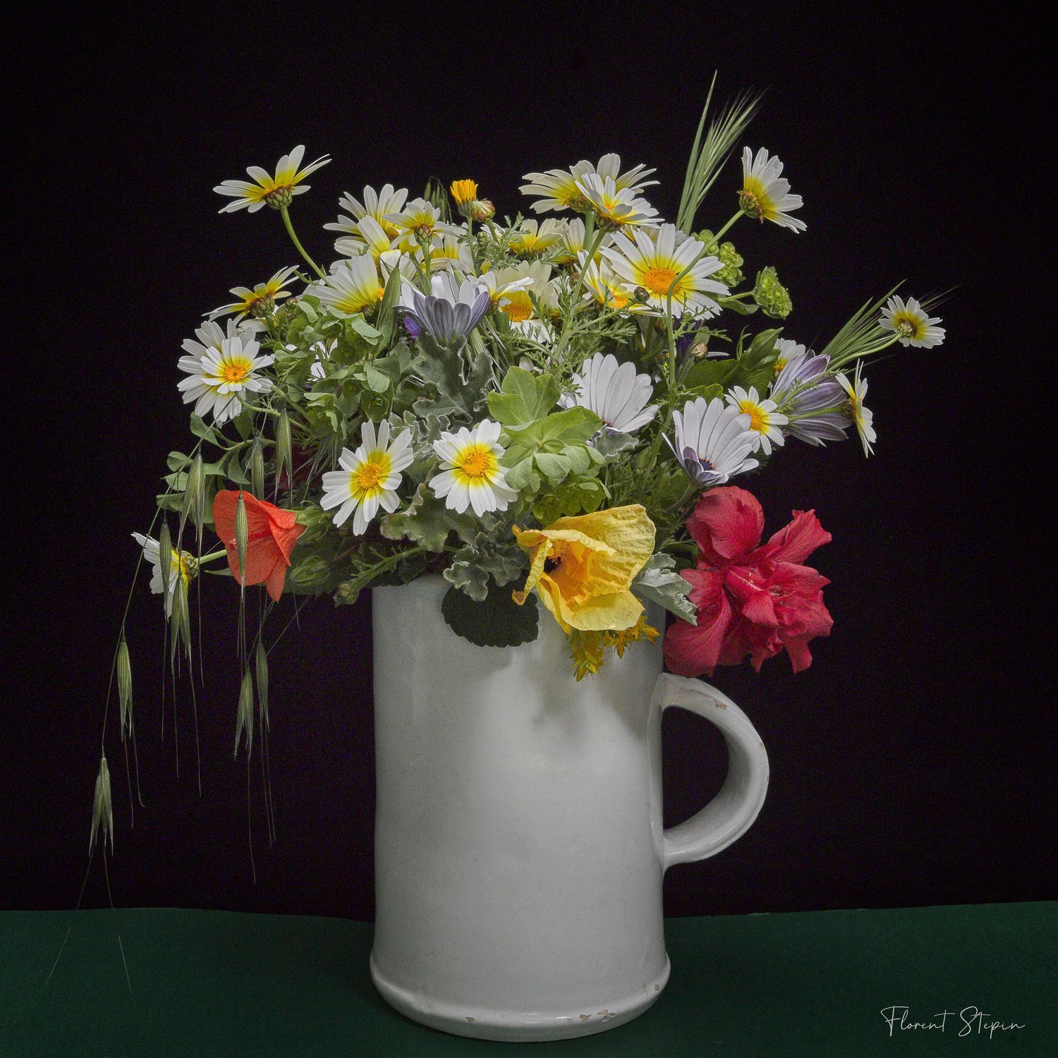 Bouquet des champs, Florent Stepin, Algarve, Portugal.