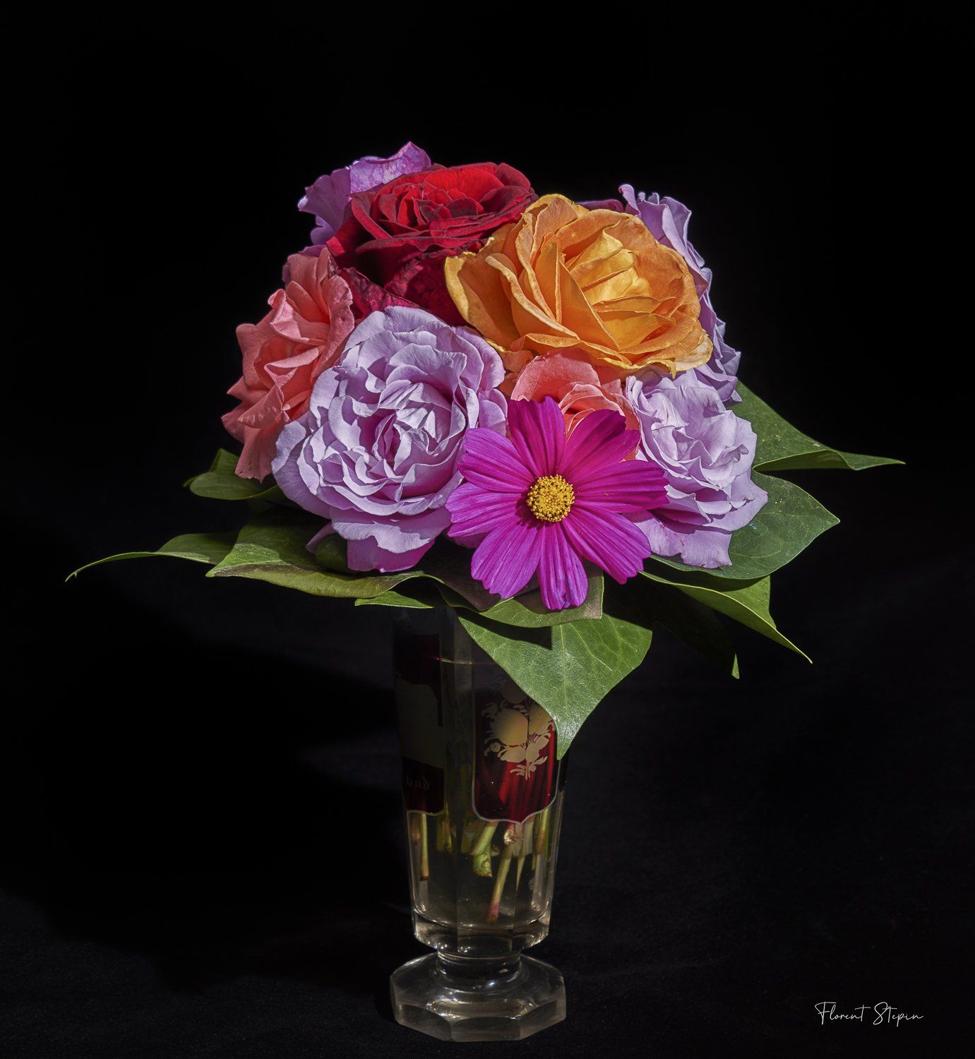 Roses & cosmos, Florent Stepin, Algarve, Portugal.