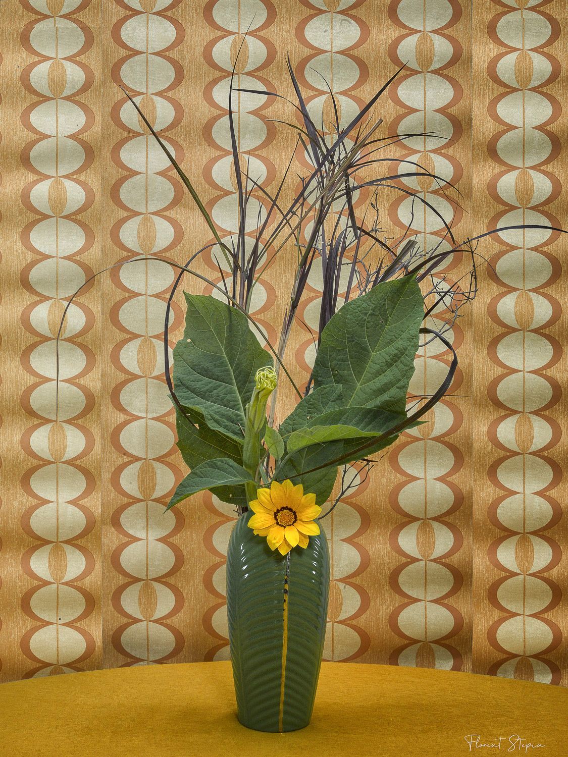 Bouquet ambiance seventies, Florent Stepin, Algarve, Portugal.