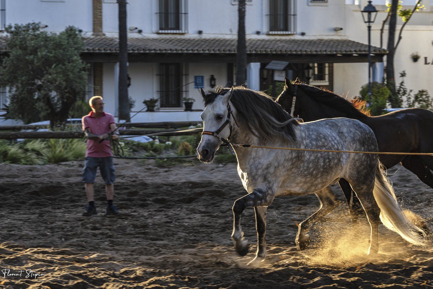 La saca de Las yeguas, El Rocio, Andalousie 2022