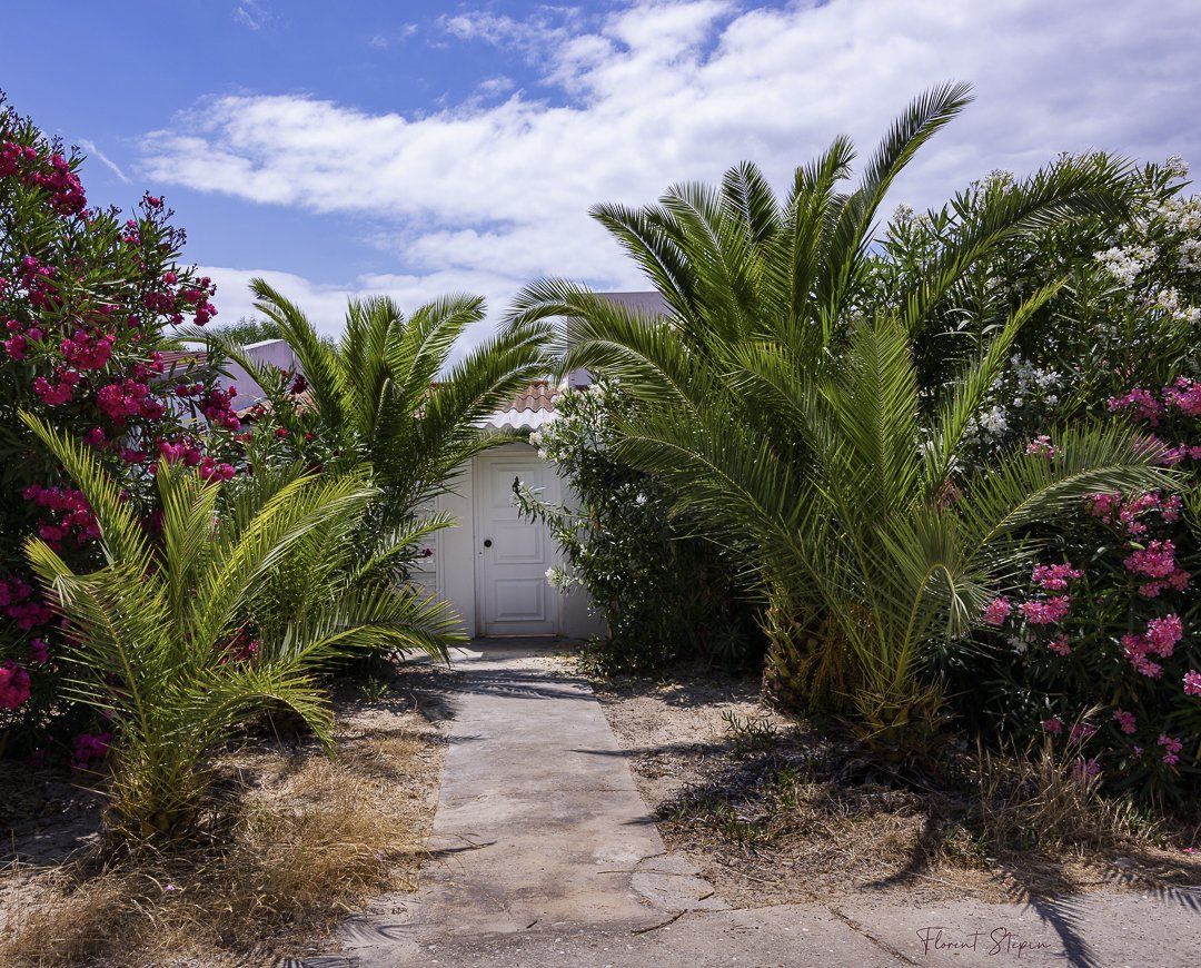 Entrée dérobée maison vacances île d'Armona, ria Formosa, Portugal