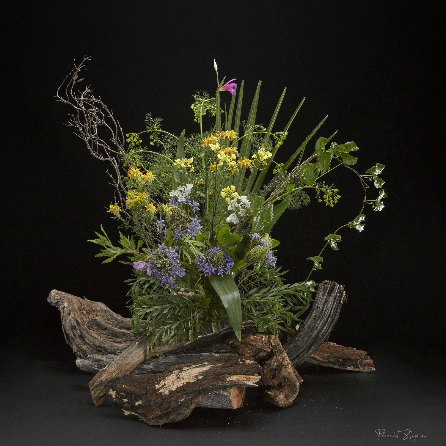 bouquet Wood, Florent Stepin, Algarve, Portugal.