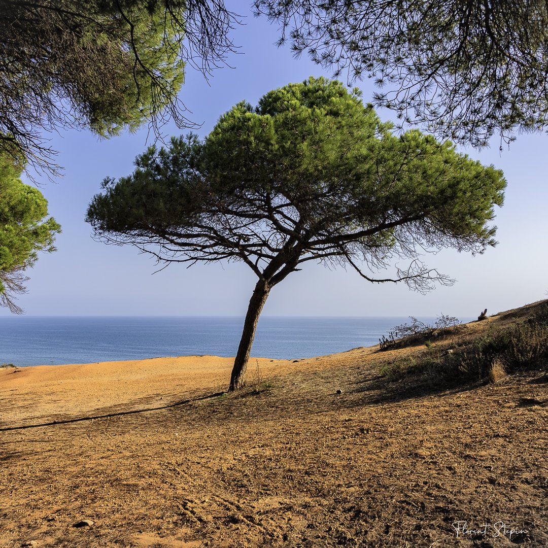 Praia da Falesia, conseil Albufeira en Algarve, Portugal