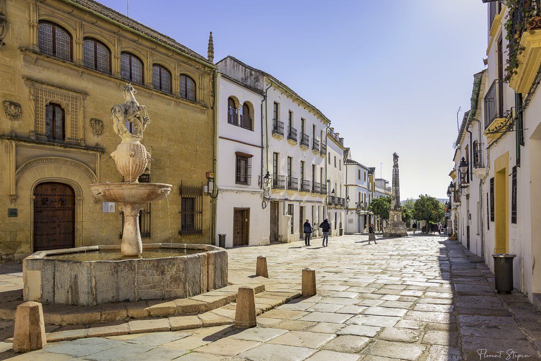 Musée des Beaux-Art Cordoue, Andalousie