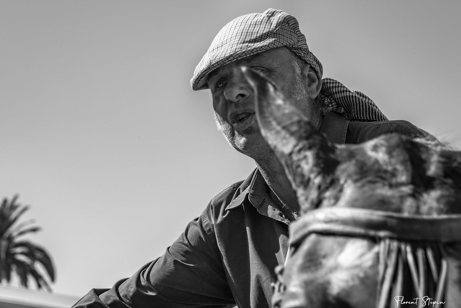 La saca de Las yeguas, El Rocio, Andalousie 2022