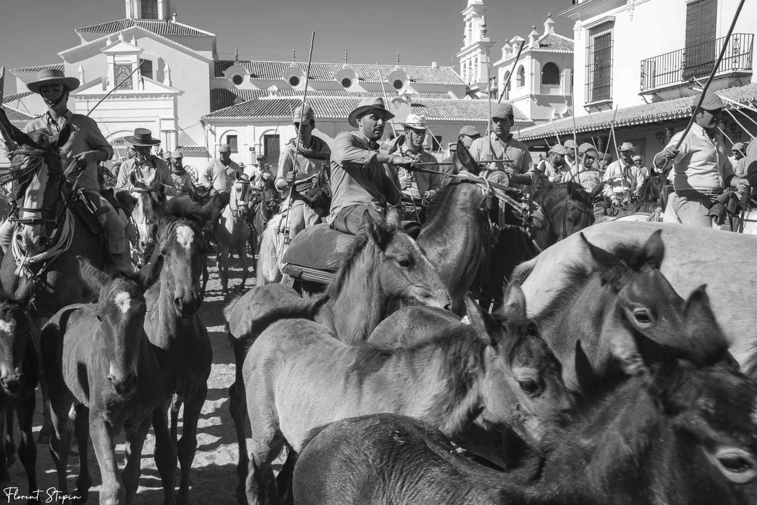 La saca de Las yeguas, El Rocio, Andalousie 2022