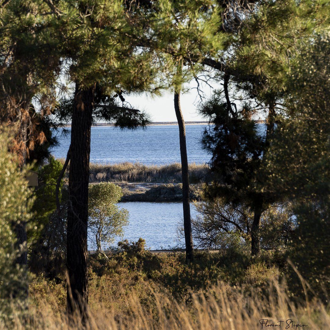 parc naturel de la ria Formosa dOlhão Portugal