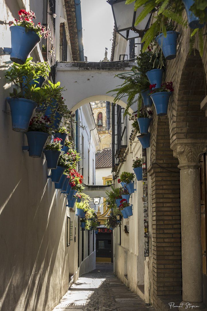 Rua das flores, Cordoue, Andalousie