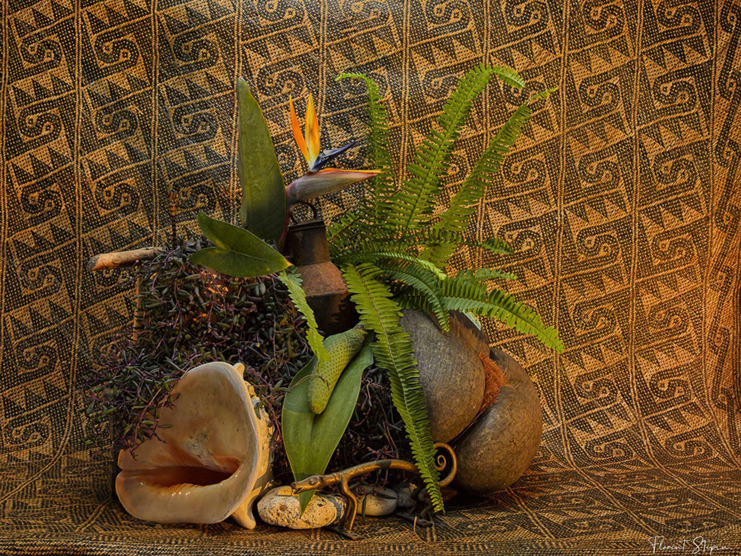 Tropicalisme, Florent Stepin, Algarve, Portugal.