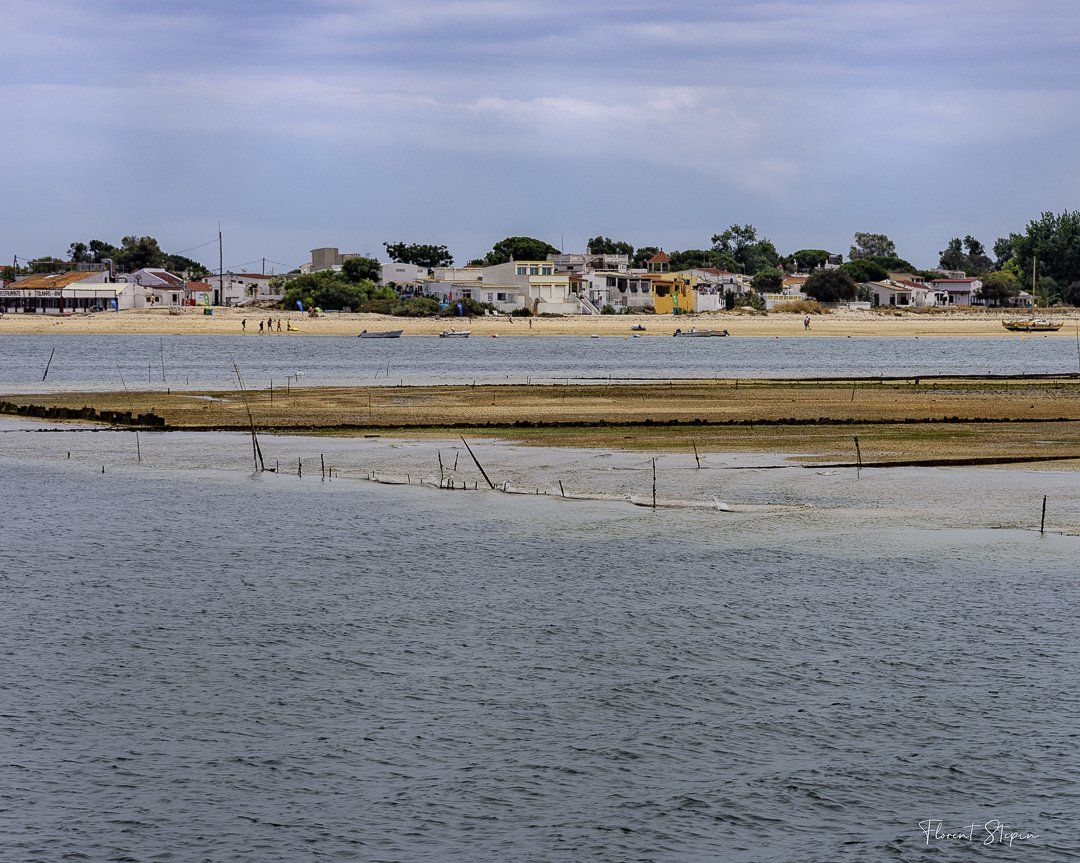 Vue du bateau sur l'île d'Armona, ria Formosa, Portugal