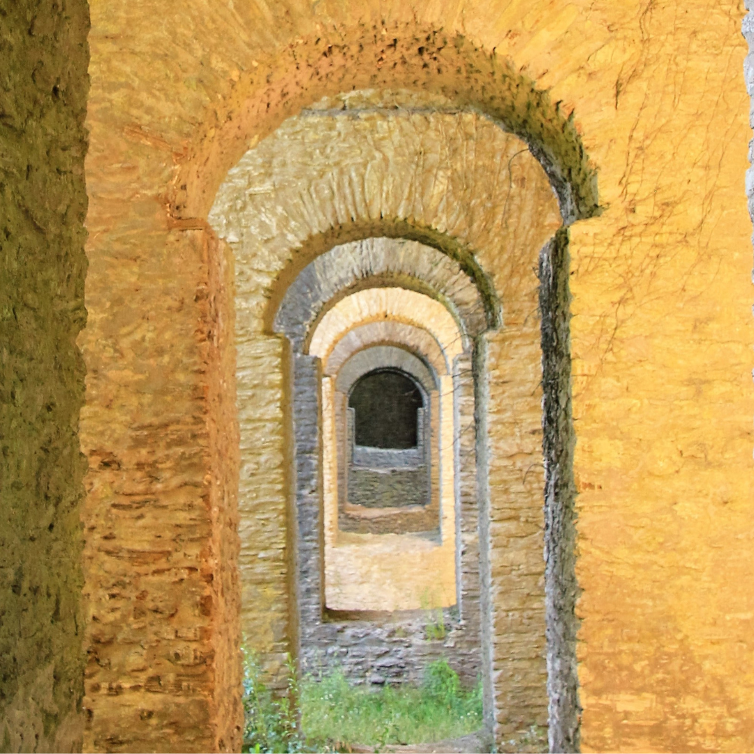 Passer les portes de l'invisible. Apprendre les secrets des anciens grâce à la géobiologie