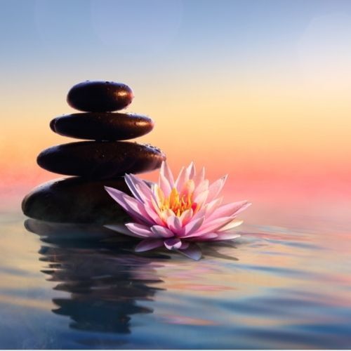 Troubles émotionnels gestion du stress et du traumatisme