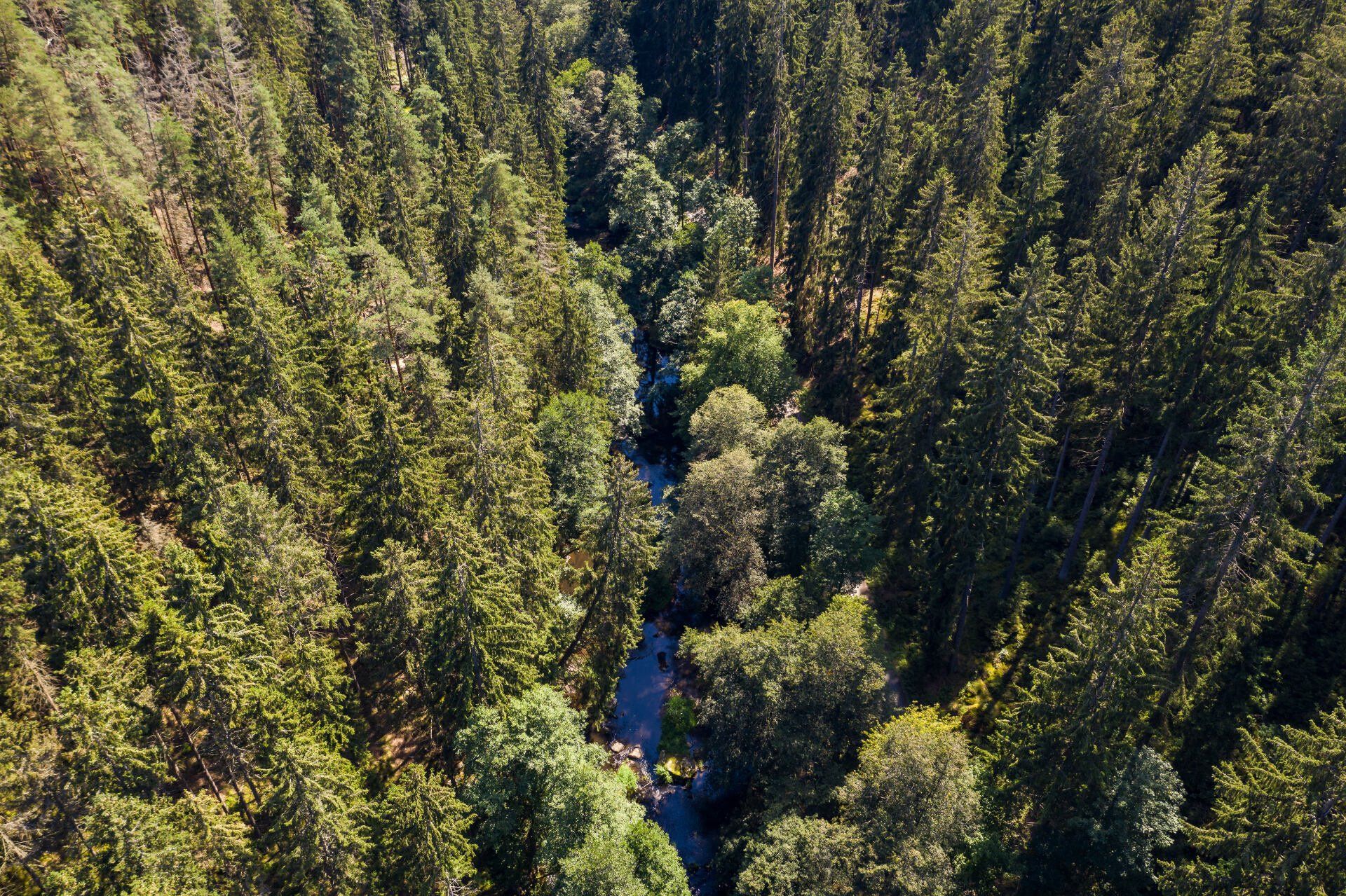 Bio Veranstaltungen, Bio Jahresprogramm, Bio Erlebnisse, Öko-Modellregion Steinwald, Öko-Modellregionen, Steinwald-Allianz, Steinwaldgemeinden, Bio, ökologische Landwirtschaft