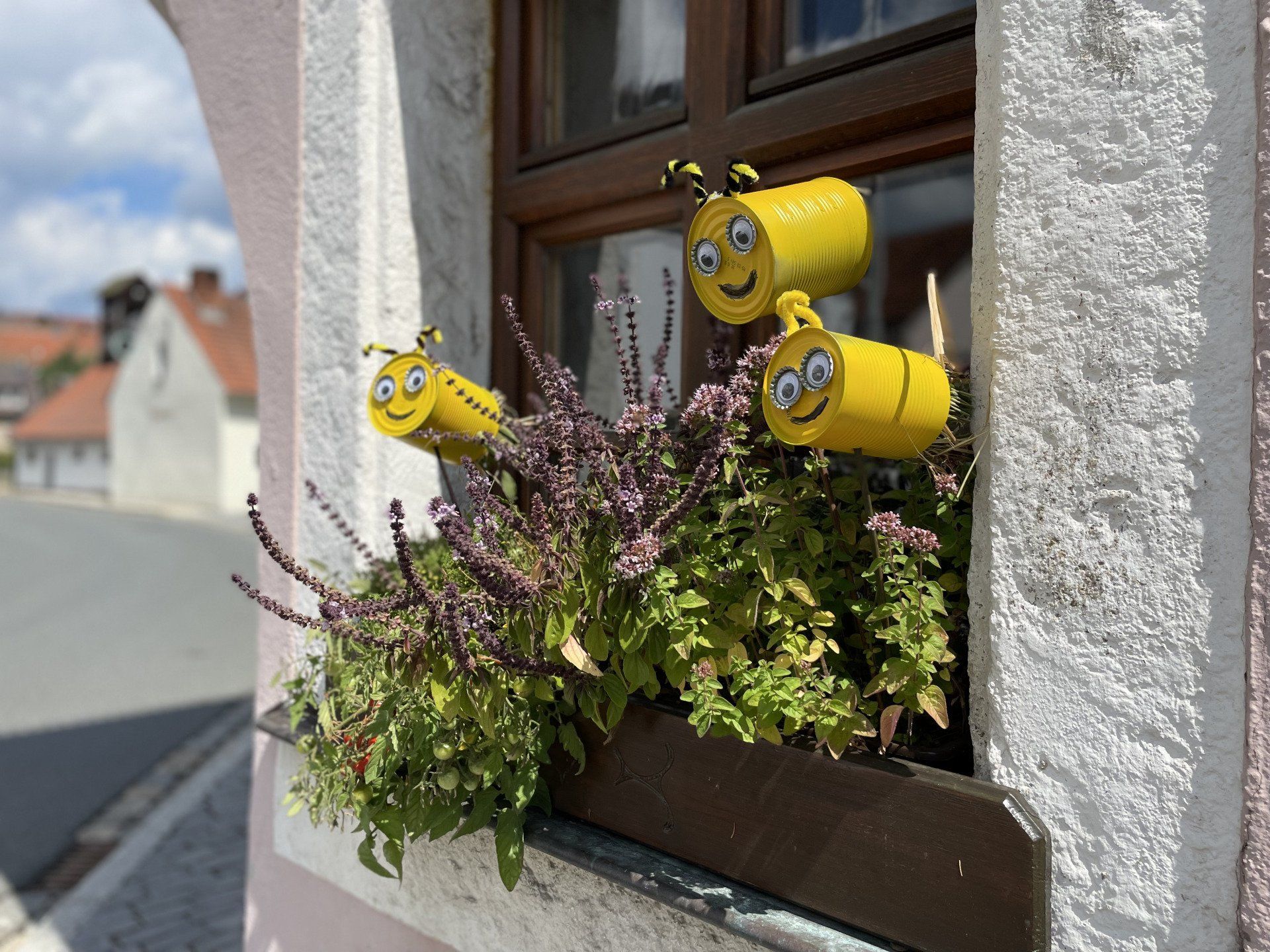 Insektenfreundliche Blumenkästen, Steinwald-Allianz, Zweckverband, Steinwald, Neuigkeiten