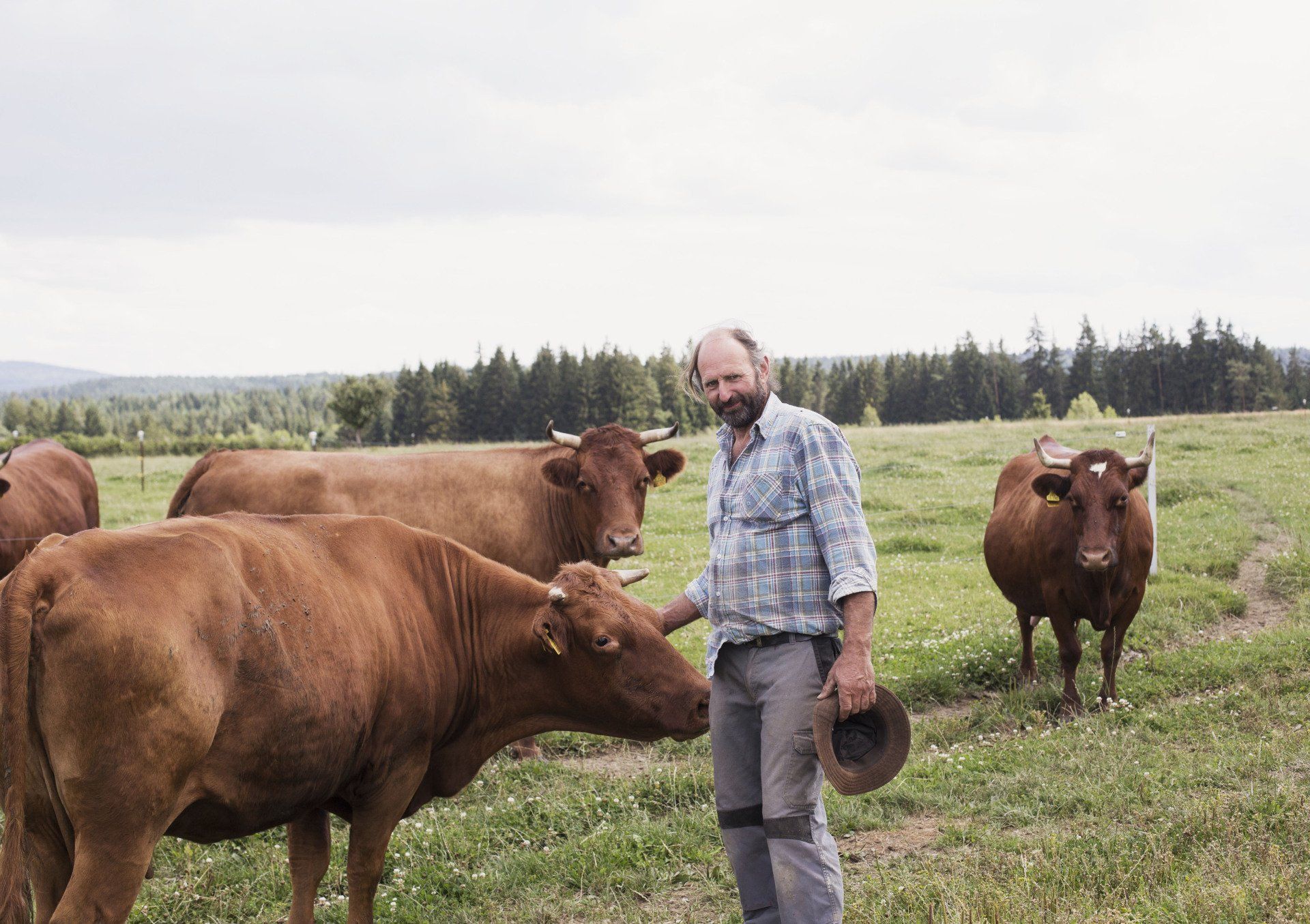Köstlers Bio-Bauernhof, Bio-Betriebe, Öko-Modellregion Steinwald, Steinwald-Allianz, Bio