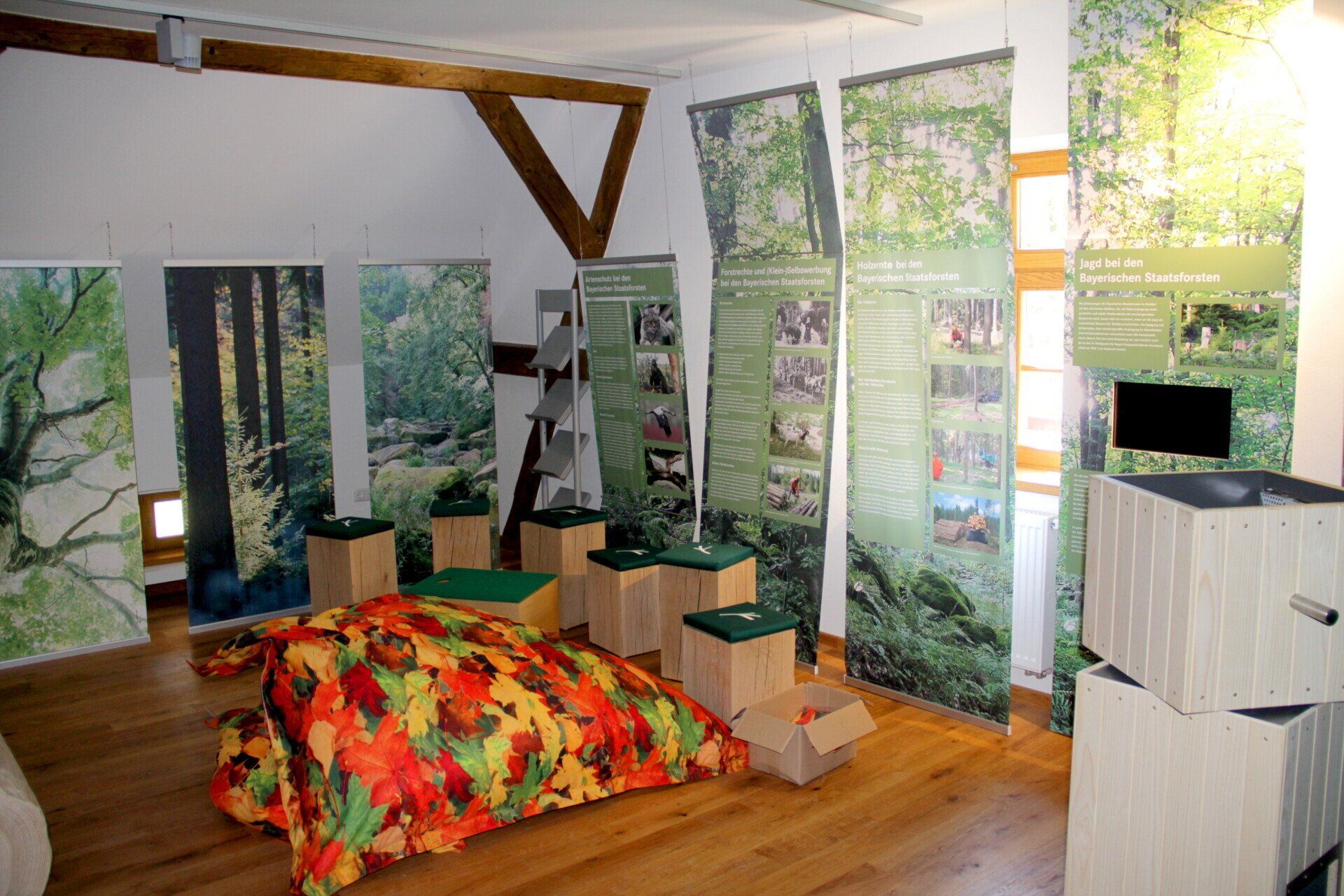 Waldhaus, Naturpark, Steinwald, Steinwald-Allianz, Steinwaldgemeinden, Steinwaldregion