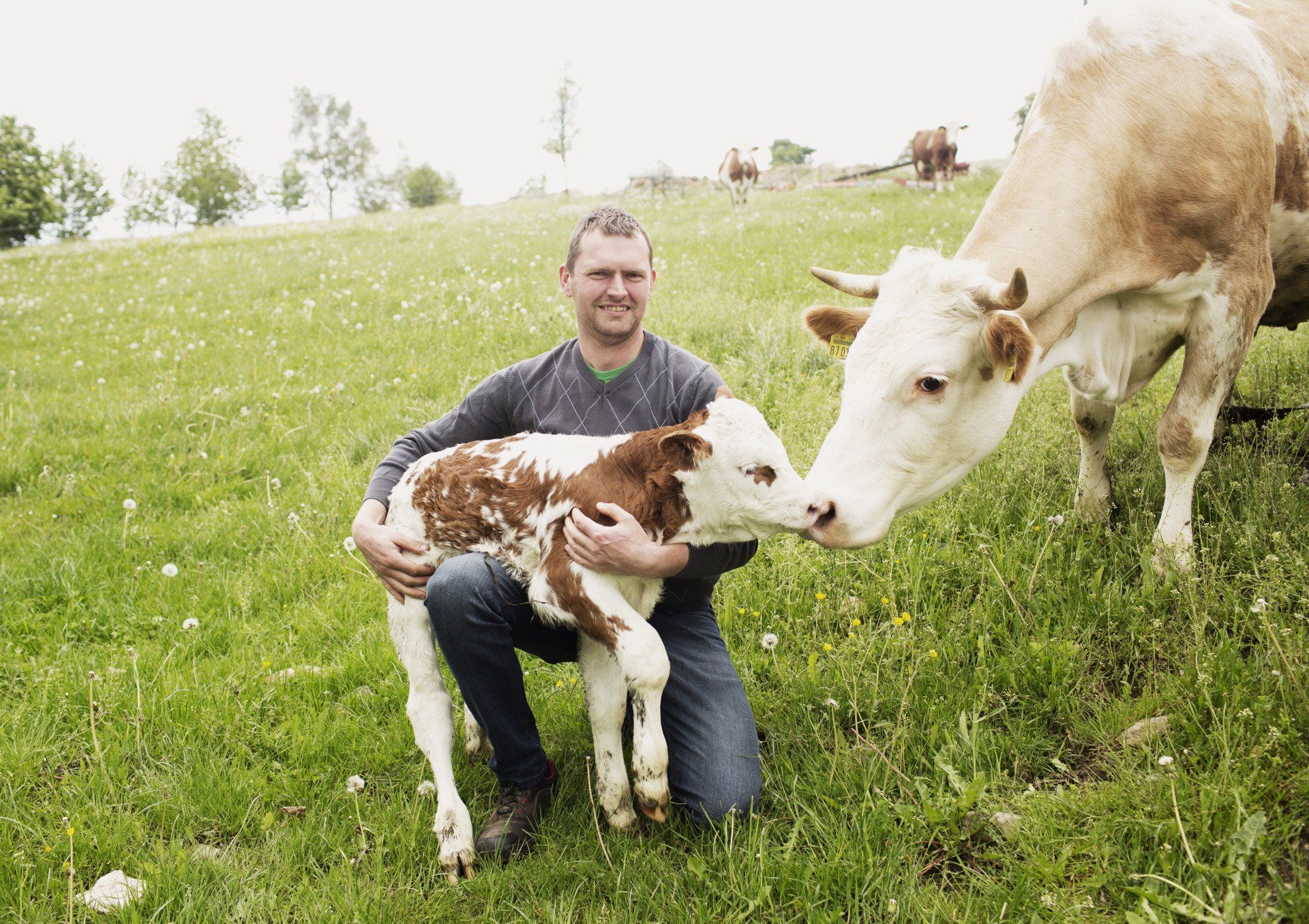 Demeterhof Dötterl, Bio-Betriebe, Öko-Modellregion Steinwald, Steinwald-Allianz, Bio