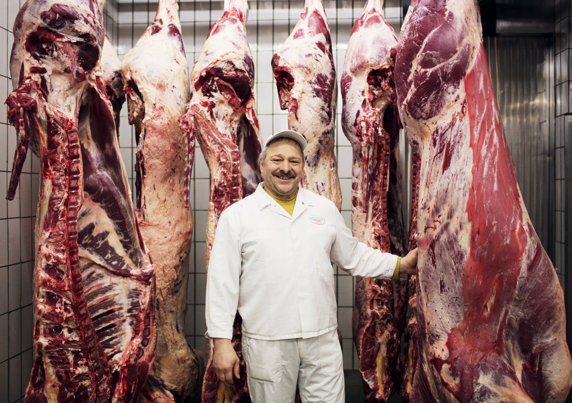 Landmetzgerei Ackermann, Bio-Betriebe, Öko-Modellregion Steinwald, Steinwald-Allianz, Bio