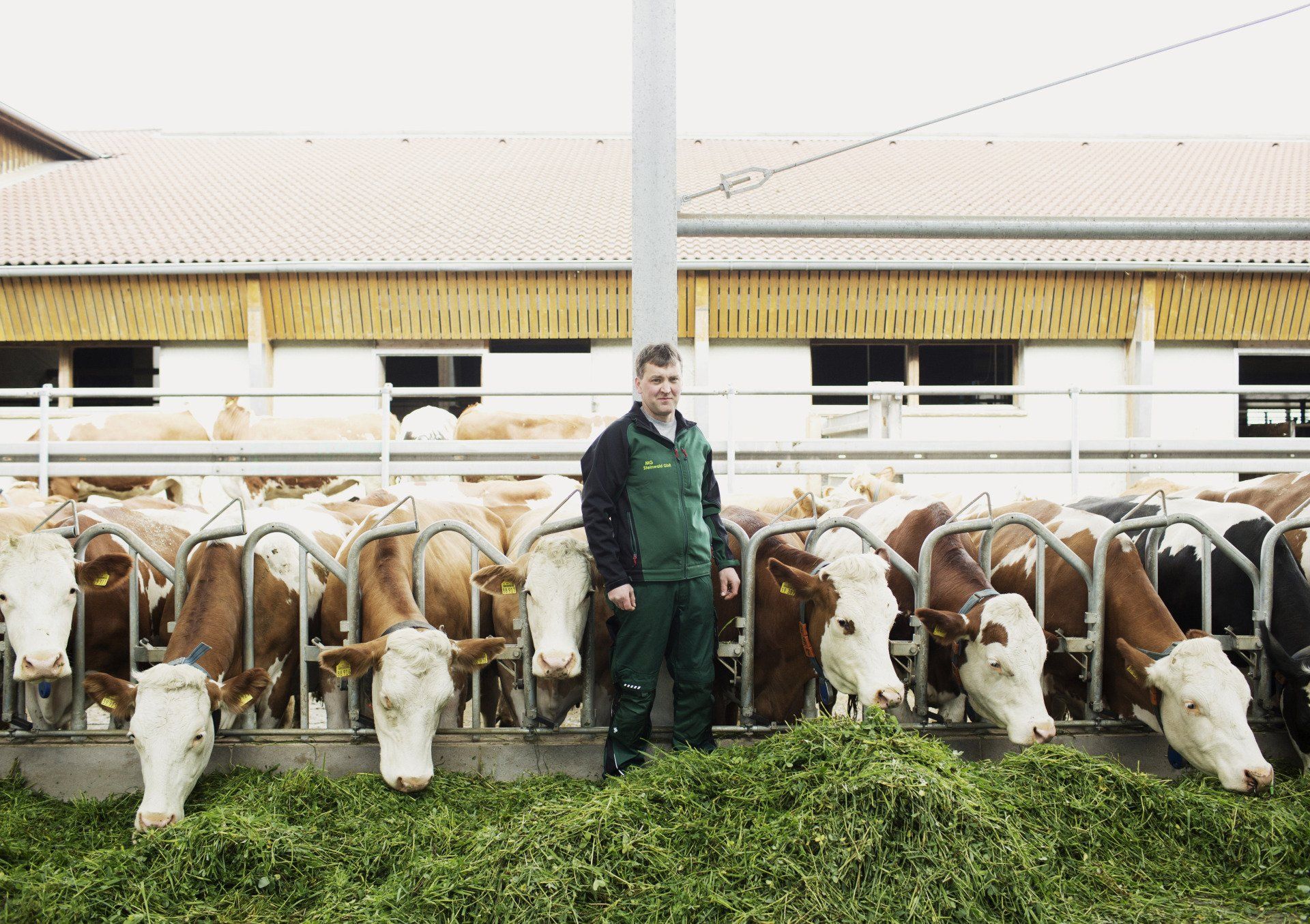 Biolandhof Zeitler, Bio-Betriebe, Öko-Modellregion Steinwald, Steinwald-Allianz, Bio