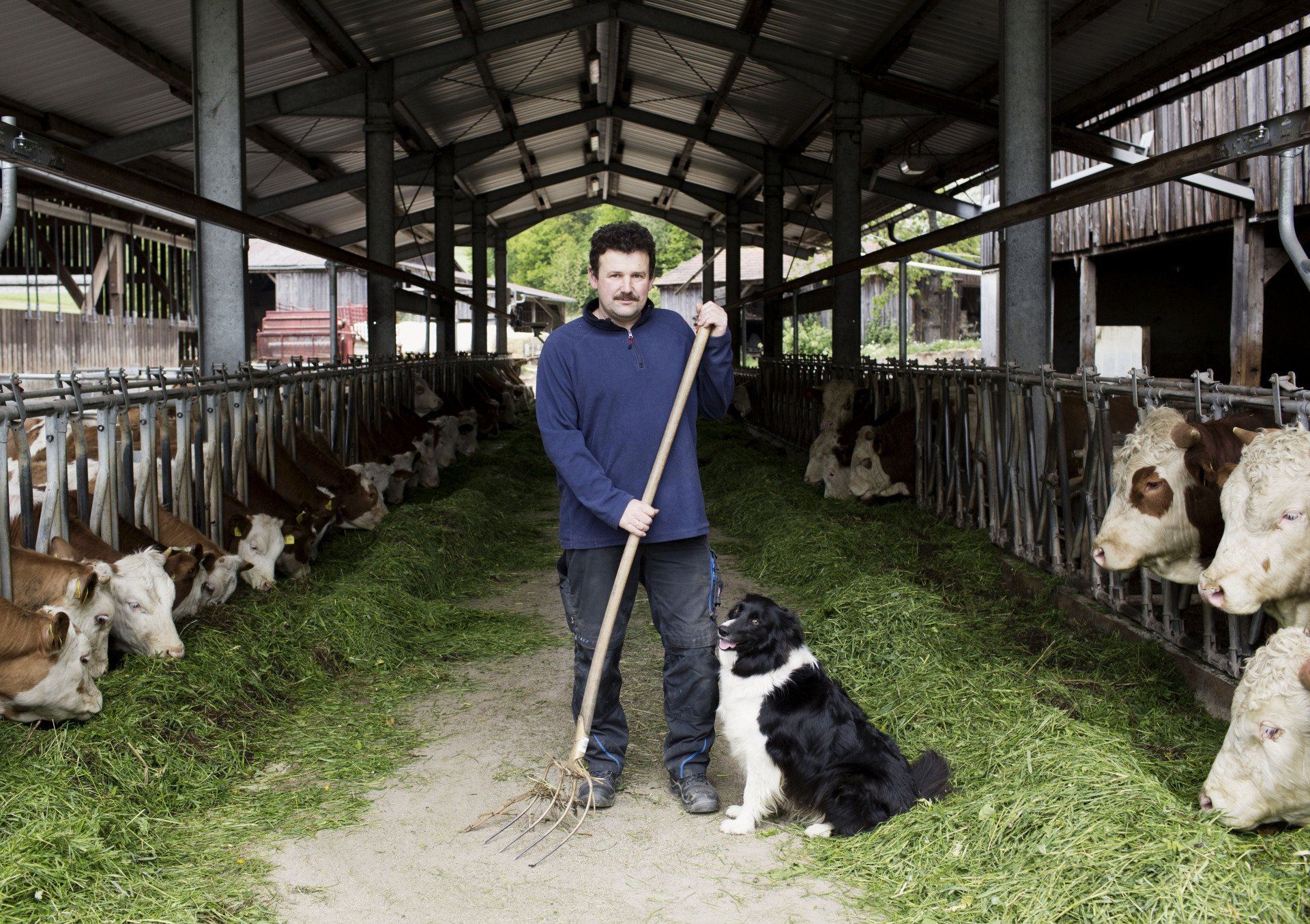 Naturlandhof Koschta, Bio-Betriebe, Öko-Modellregion Steinwald, Steinwald-Allianz, Bio