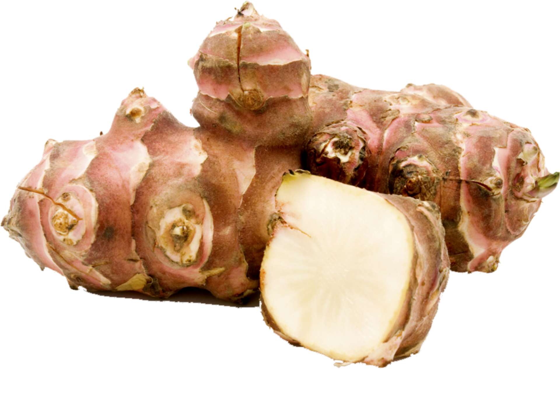 Bio-Topinambur, Sonderkulturen, Öko-Modellregion Steinwald, Steinwald-Allianz, Bio