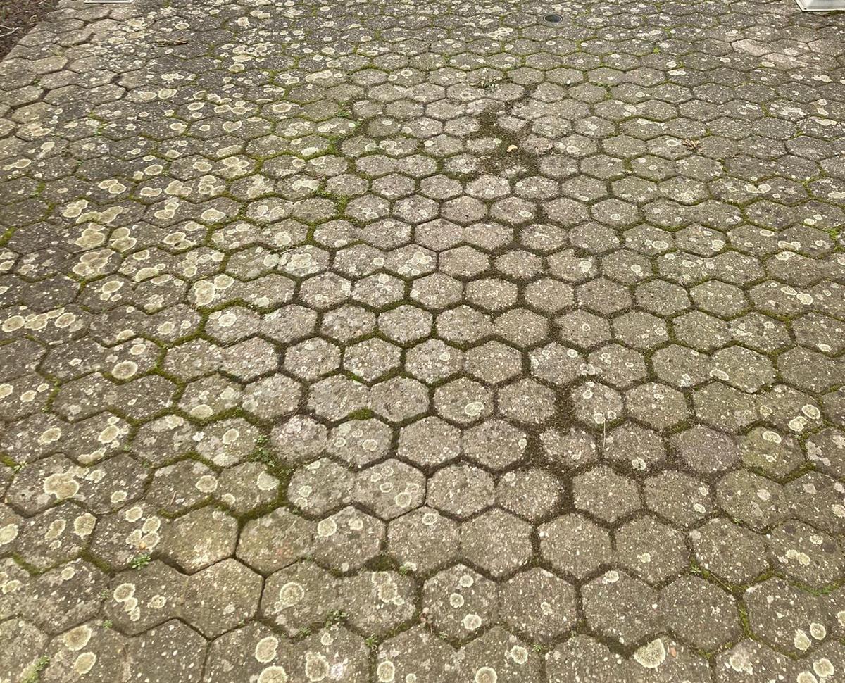 Algen und Moos in Einfahrt