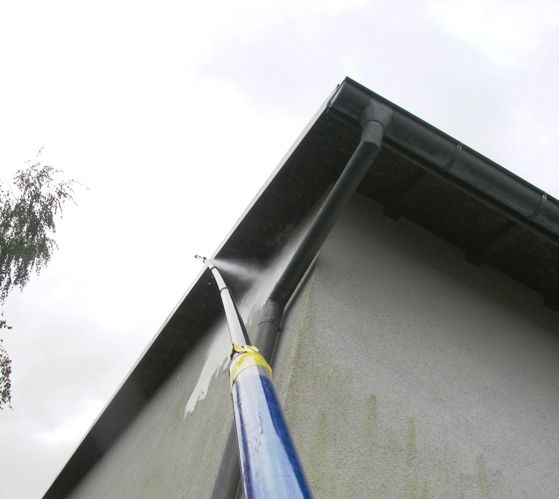 Grünalgen und Moos entfernen von Fassade