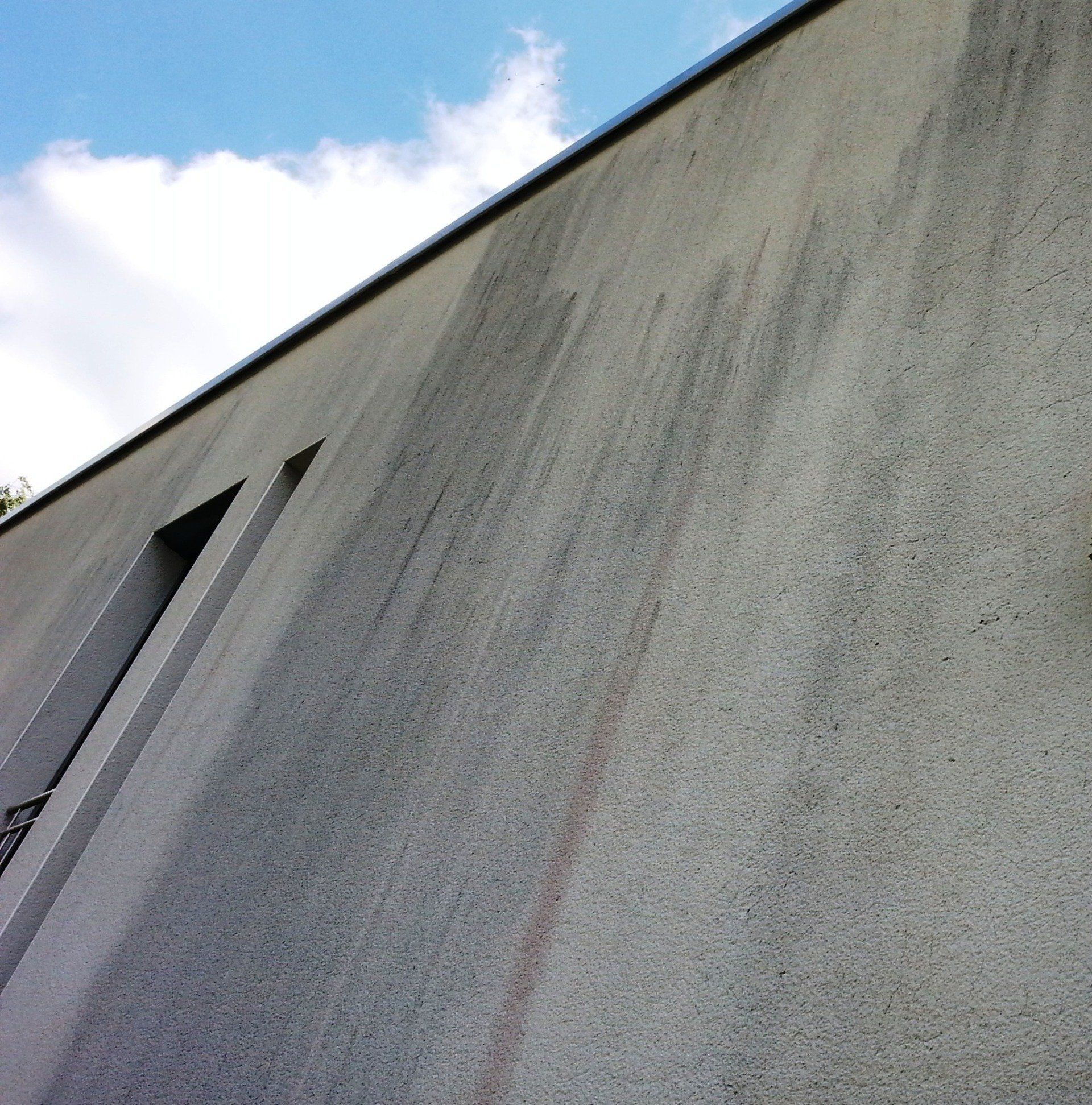 Schwarz und Rotalgen auf WDVS Fassade