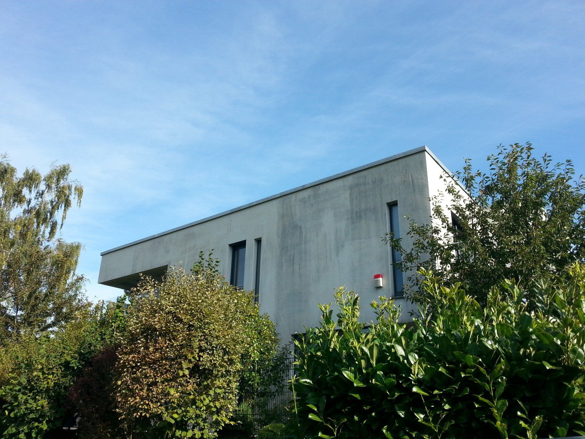 Schwarzalgenbefall und Moos entfernen