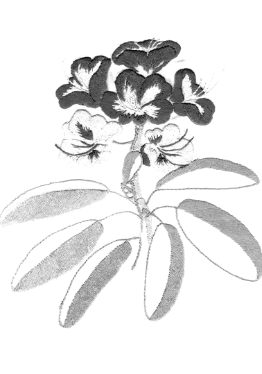 Plattstich, Stielstich Plattstich, Stielstich