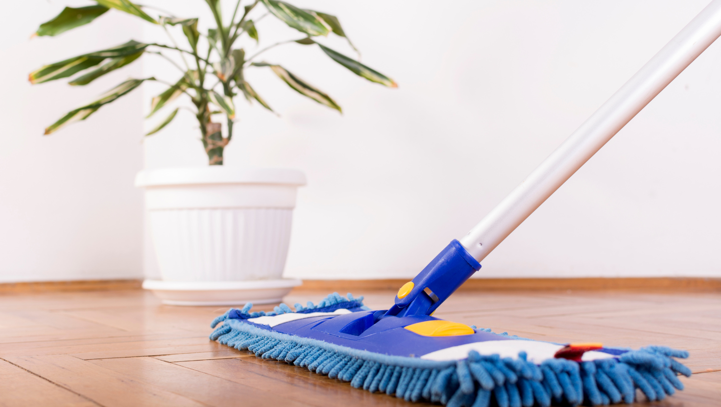 Crédit d'impot MVP Care