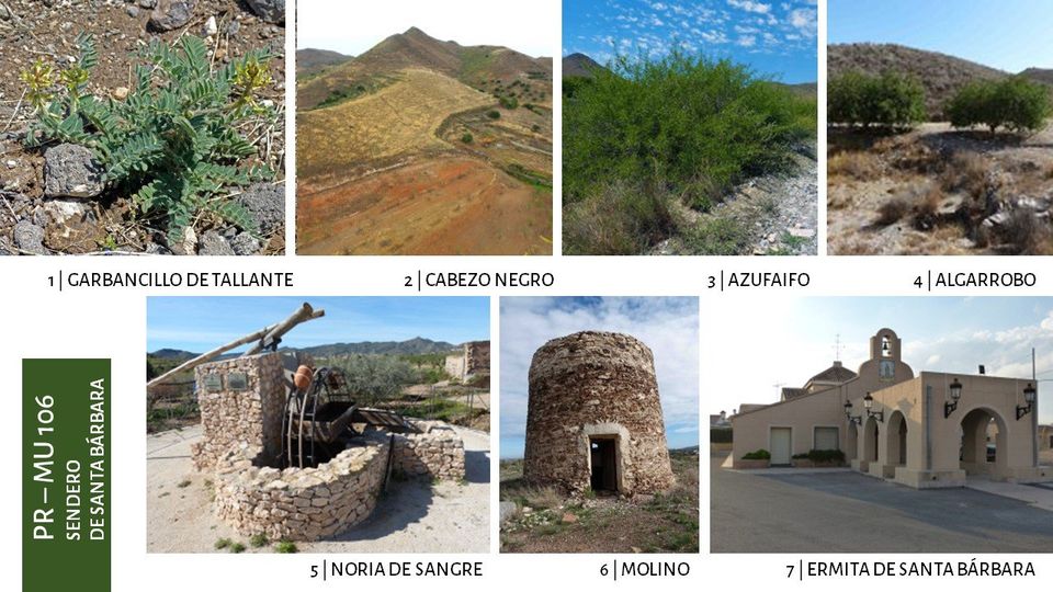 Area de autocaravanas en Cartagena Los Olivos Camper Park