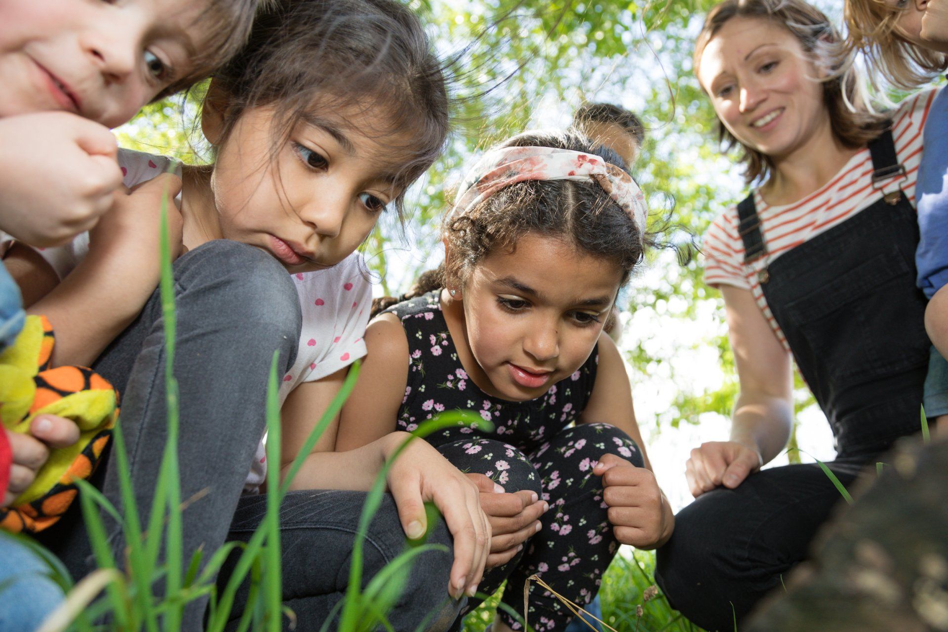 Children looking at the grass and insects at Nell Bank Outdoor Education Centre in West Yorkshire