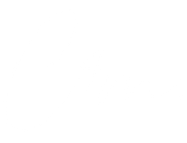Logo in White