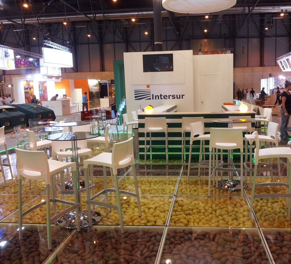 stand intersur ifema