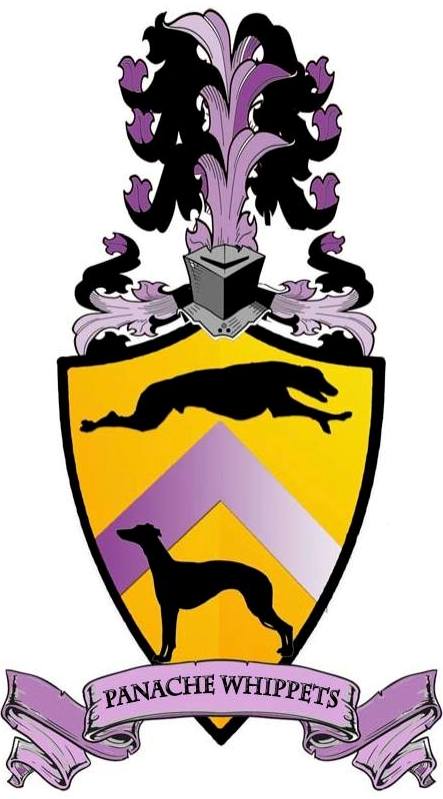 Panache Whippets Logo