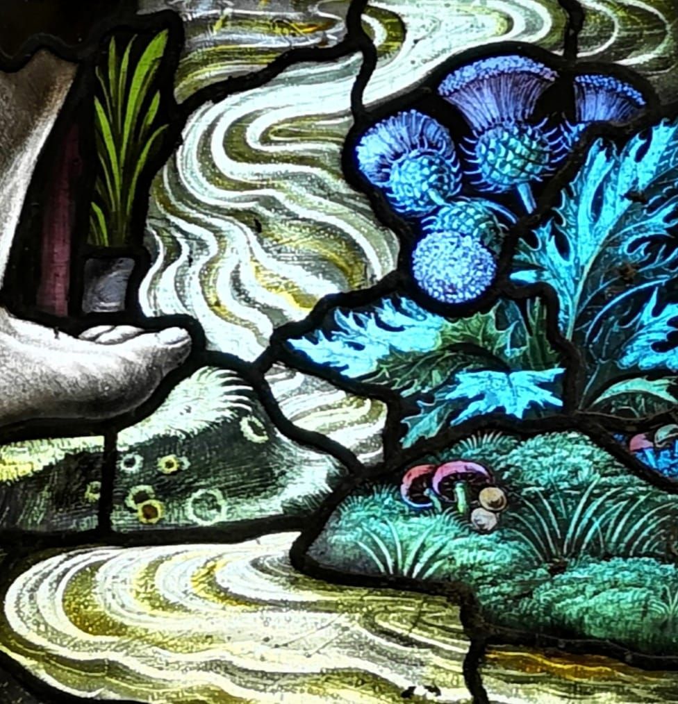 thistle and mushroom stained glass detail