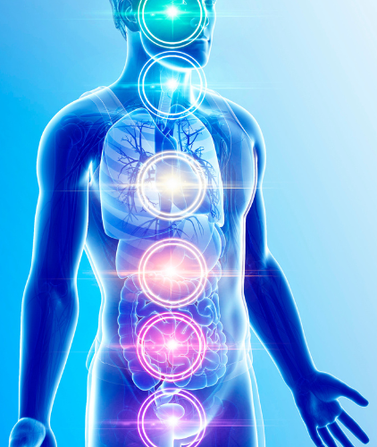 Illustration pédagogique expliquant à quoi servent les chakras et leur équilibre