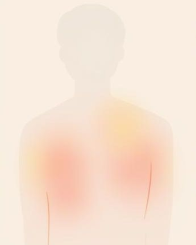 Illustration du corps montrant comment le corps exprime les émotions : sensations immédiates, signes récurrents et fatigue profonde, pour comprendre l’énergie corporelle.