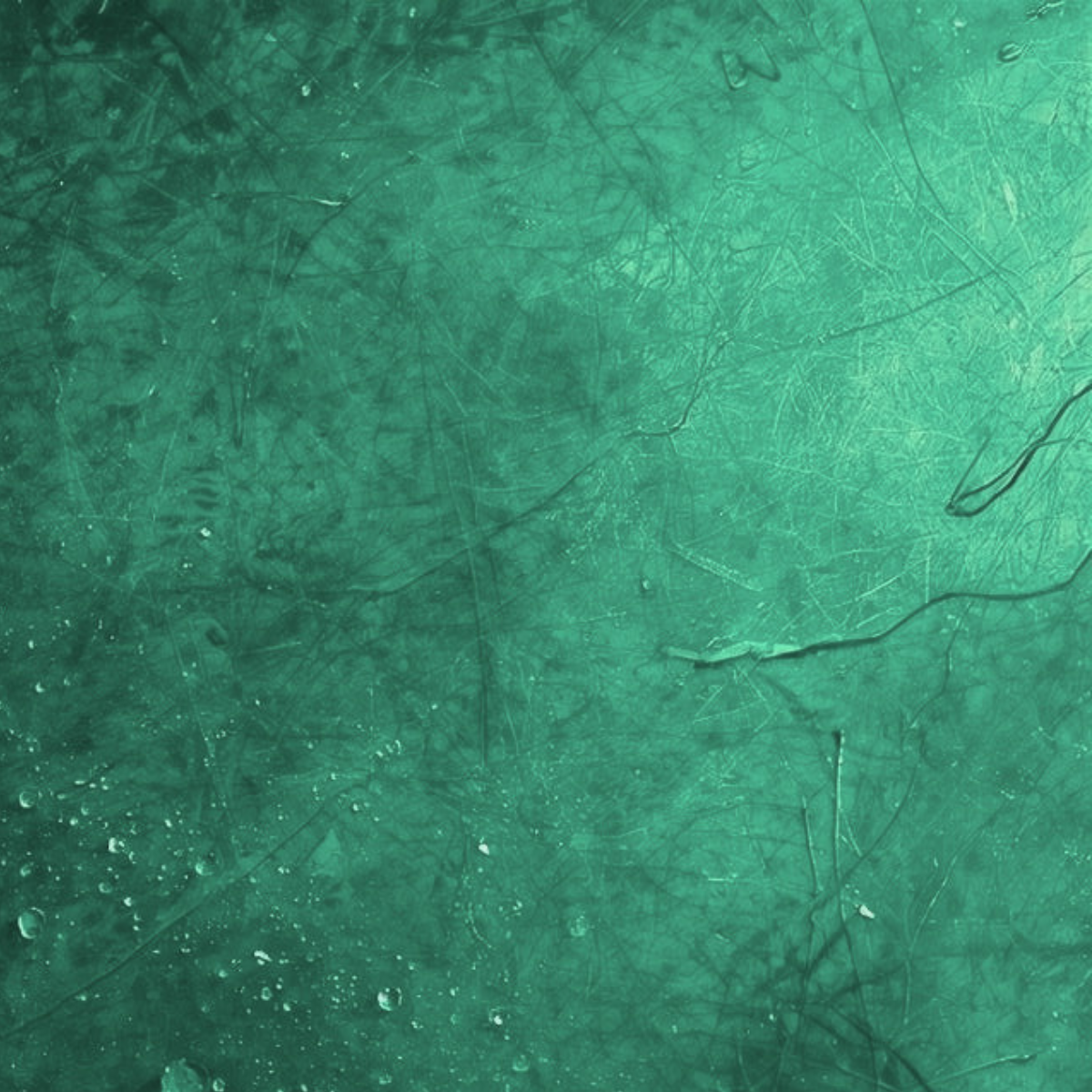 vert émeraude équilibre du cœur harmonie profonde