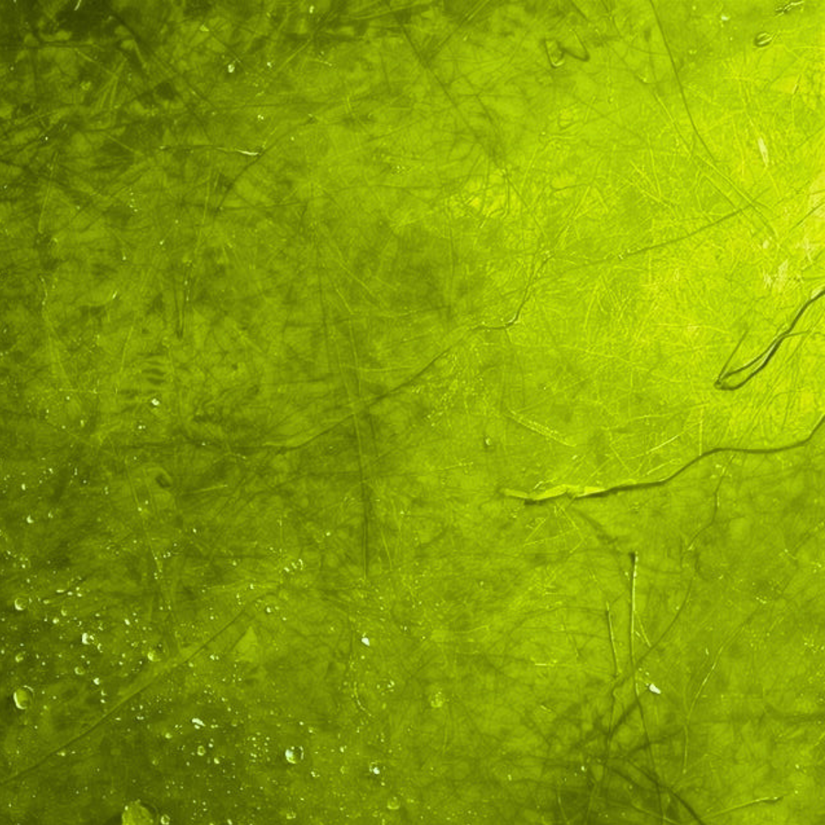 vert anis élan vitalité dynamique émotionnelle signification