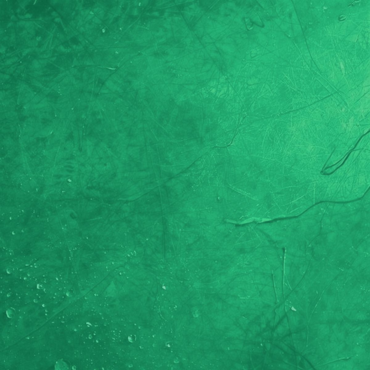 vert jade paix intérieure loyauté affective symbolique