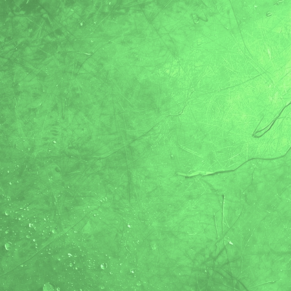 vert menthe fraîcheur mentale respiration énergie signification