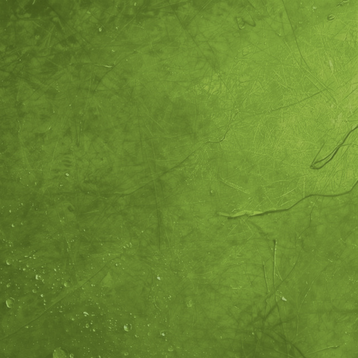 vert mousse introspection émotions retenues signification