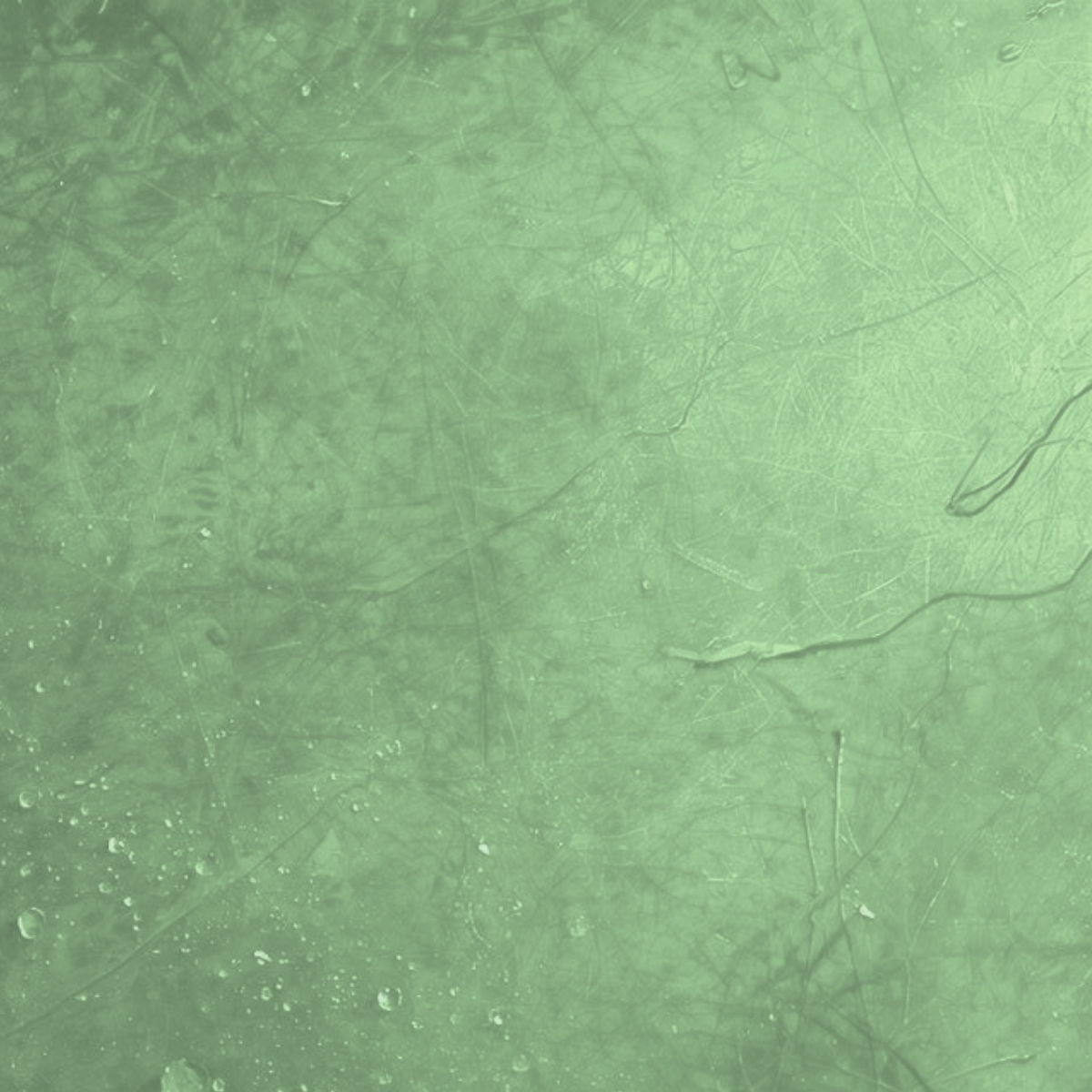 vert tendre renouveau ouverture fragile émotion symbolique